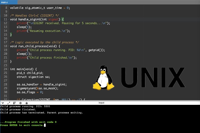 Screenshot of Unix Process and Signal Demo